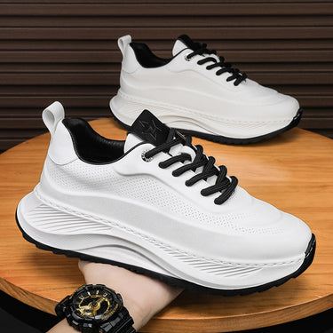 Men's Sports Shoes Casual Sneakers