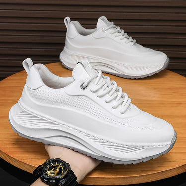 Men's Sports Shoes Casual Sneakers